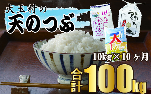 
【 令和5年産 】【 10カ月定期 】 福島県大玉村産 天のつぶ 100kg （ 毎月 10kg × 10回 お届け ） 福島県 大玉村 てんのつぶ テンノツブ 米 定期便
