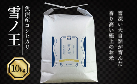 令和7年産 魚沼産コシヒカリ 雪ノ王 精米 10kg 米 お米 精米 こしひかり 魚沼 新潟