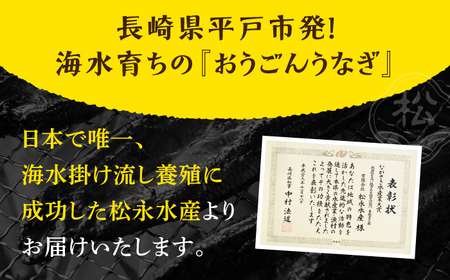 長崎県産おうごんうなぎ約300g2尾-3尾【（有）松永水産】[KAB110]/ 長崎 平戸 魚介類 魚 うなぎ 鰻 ウナギ うなぎ 蒲焼 うなぎ かばやき うなぎ うなぎ蒲焼き うなぎ おうごんうなぎ