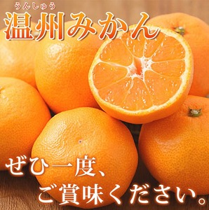 有田の小玉みかん5kg(S～3Sサイズ混合)※2024年11月下旬～2025年1月下旬頃に順次発送予定