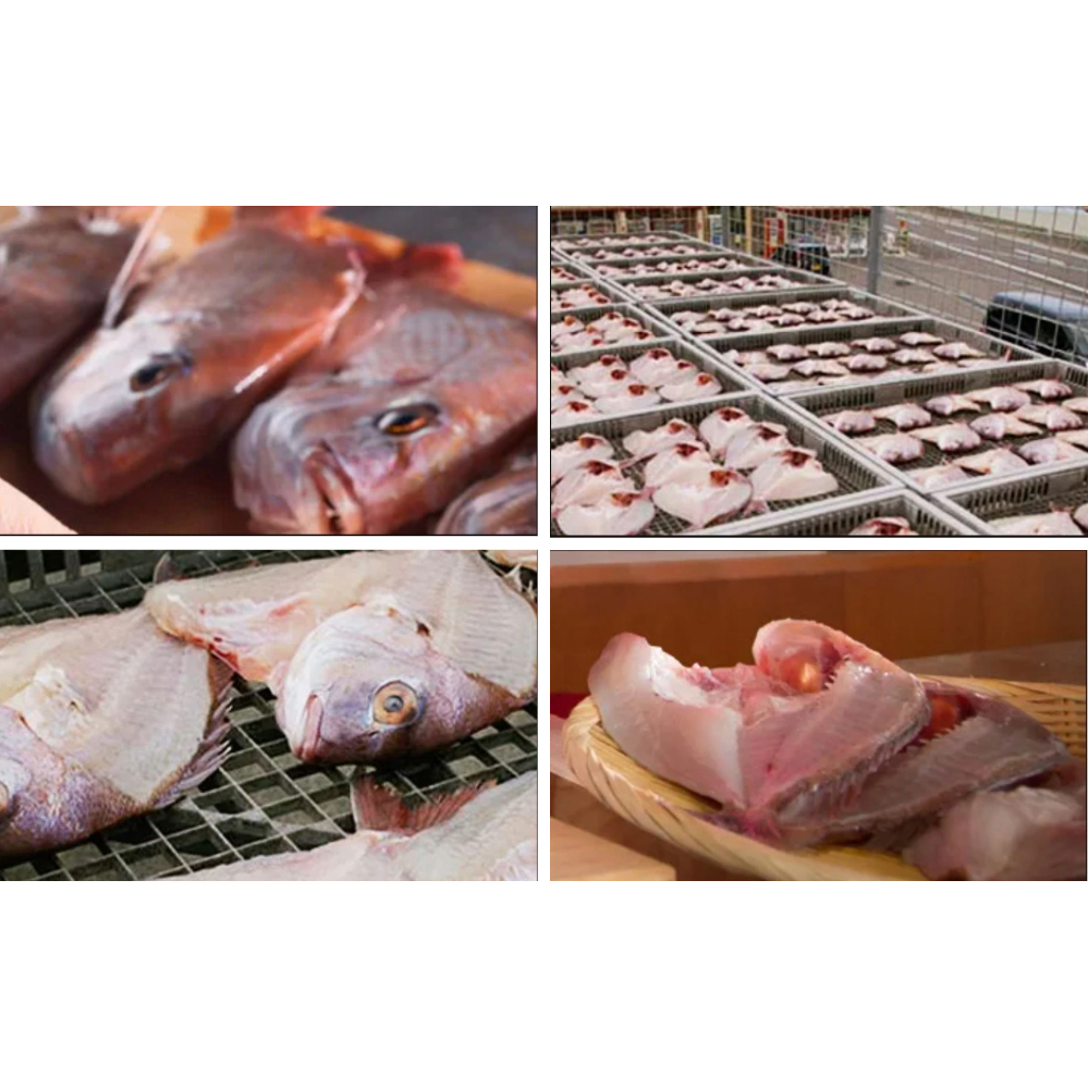 ＼お楽しみ／ 鳴門の旬の天然魚を使った干物セット_イメージ4