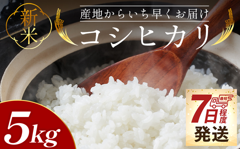 新米コシヒカリ 5kg - 新米 お米 おこめ 国産 米 精米 ひのひかり ごはん 白米 ご飯 おにぎり おむすび 料理 調理 防災 非常食 備蓄 高知県 香南市 常温 at-0056