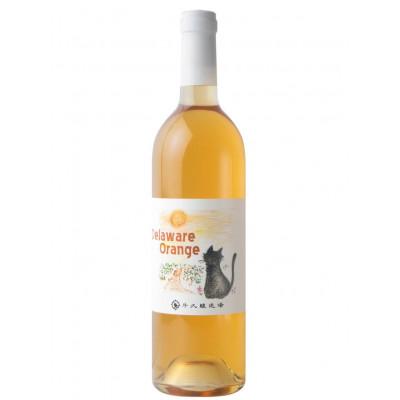 ふるさと納税 牛久市 デラウエアオレンジ Delaware Orange 750ml×1本