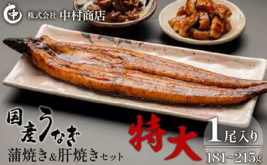 
国産うなぎ 蒲焼き 特大サイズ(181～215g)・肝焼きセット_M069-015_01
