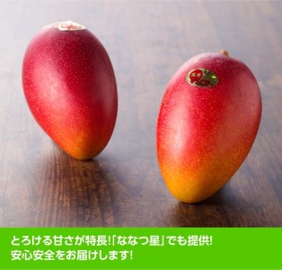 【令和６年発送】宮崎県産マンゴー「おひさまハニーマンゴー」２Ｌ（小）×３玉【期間限定 数量限定 果物 フルーツ マンゴー 宮崎県産 完熟マンゴー みやざきマンゴー】