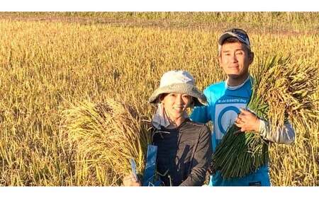 　【 令和7年産 】 特別栽培米 ゆめぴりか （ 玄米 ） 特Aランク  真空パック 20kg 5㎏×4袋 セット 北海道 鷹栖町 まきファームたかす 米 コメ こめ ご飯 玄米 お米 ゆめぴりか コ