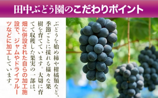 しっとり柿チップス 60g×10袋｜国産 無添加 ドライフルーツ 柿 砂糖不使用 小分けタイプ おやつ おつまみ スイーツ 素朴な自然の甘さ 健康志向のおやつ 田中ぶどう園 謹製 河内長野市産【ギフト
