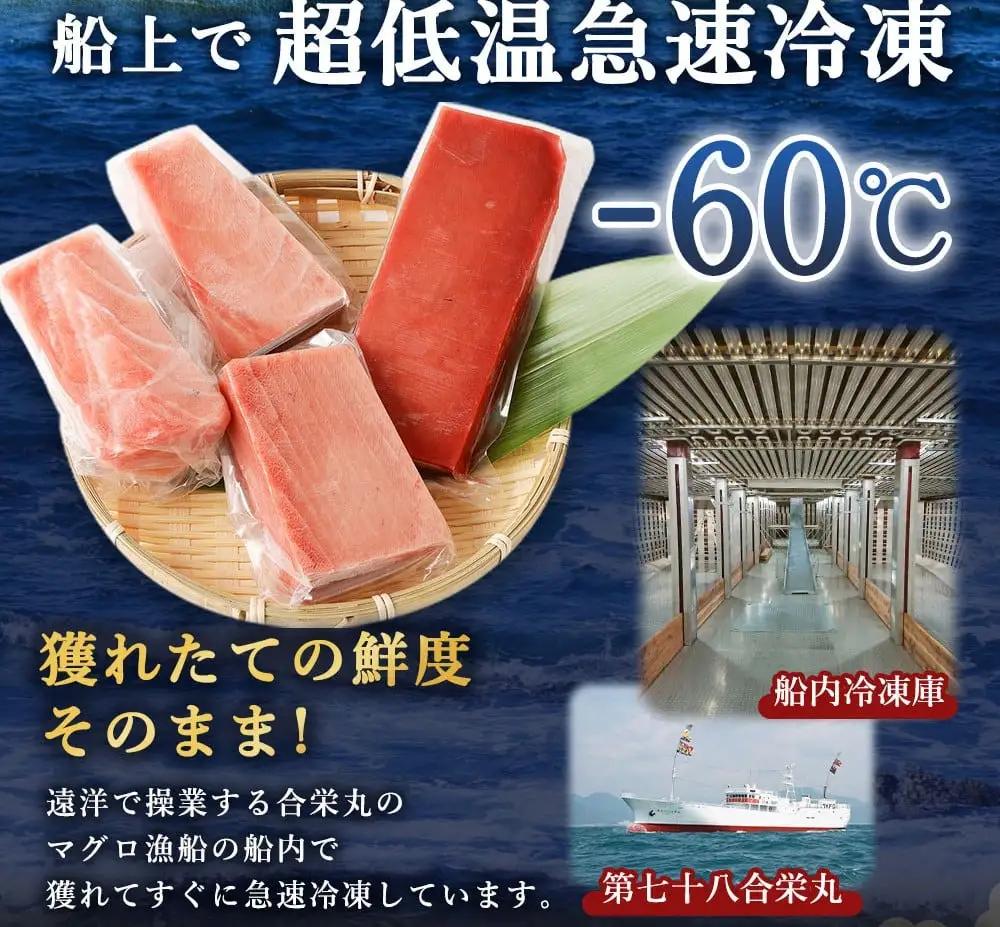 本マグロ 小分け 計約600g  【まぐろ】FN-Limited-PR