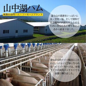 絶品ソーセージウインナー800g ／保存料 化学調味料 無添加 山中湖ハム 詰め合わせ ギフト ドイツ 金賞 冷凍 豚 山梨県【n0358_mar】