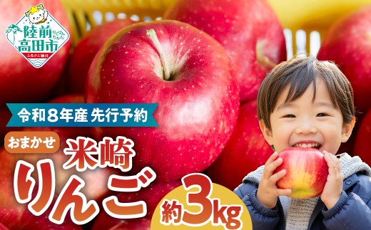 【2026年発送先行予約】米崎 りんご 3kg ≪品種おまかせ≫【 数量限定 リンゴ 林檎 りんご 陸前高田 岩手 東北 9月 10月 11月 12月 青林 王林 ジョナゴールド シナノスイート 等 産地直送 新鮮 アップル 家庭用 】 2026年9月頃から発送予定 RT670
