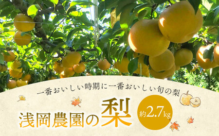 浅岡農園 の 梨 約2.7kg 豊水 秋月 新高 甘太 果物 大分県産 【2024年9月上旬-11月上旬発送予定】