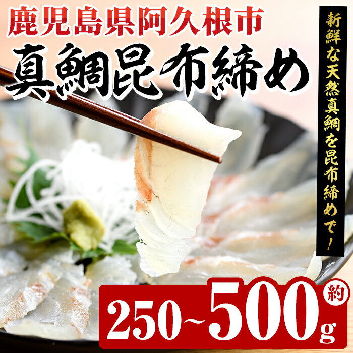 【ふるさと納税】＜内容量が選べる！＞真鯛昆布締め(約250～500g) 鹿児島県 阿久根市 たい タイ 真鯛 魚貝 魚介 海産物 昆布〆 風味 旨味 おかず おつまみ【さるがく水産】