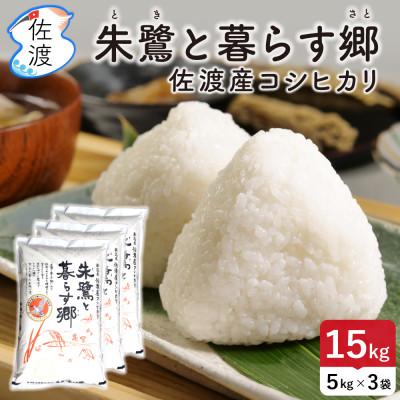 ふるさと納税 佐渡市 佐渡島産コシヒカリ「朱鷺と暮らす郷」白米15kg(5kg×3袋) 令和7年産 特別栽培米