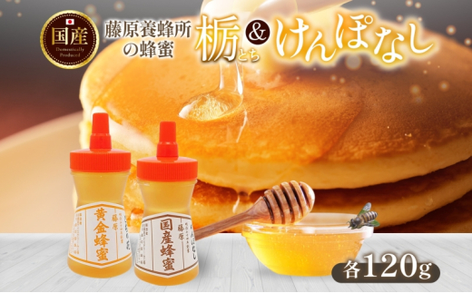 はちみつ 栃 ケンポナシ 各120g 計240g 藤原黄金蜂蜜 藤原国産蜂蜜 食べ比べ セット 国産はちみつ 天然 無添加 とち 玄圃梨 単花蜜 朝しぼり 完熟 ハチミツ パン 菓子 トースト ホットケーキ ヨーグルト 調味料 隠し味 朝食 岩手県 盛岡市 東北 岩手 盛岡 藤原養蜂場