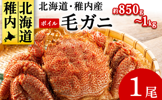 北海道産 毛ガニ 1尾 850g～1kg (ボイル)＜2025製造＞