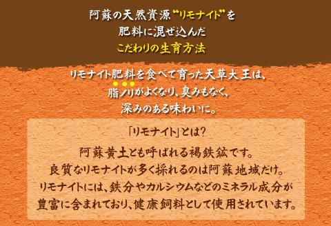 くまもと地鶏 天草大王 もも肉 1kg 地鶏 鶏肉 鶏 もも 炭火焼 人気 希少 貴重 美味しい ヘルシー ジューシー 熊本 阿蘇