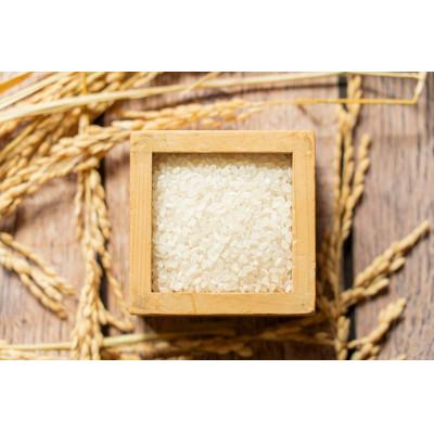 ふるさと納税 伊賀市 特別栽培米 伊賀米コシヒカリ真空パックセット |  | 02