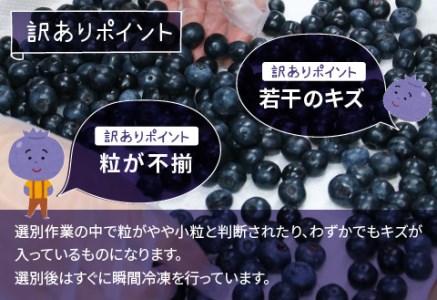 ＜7月以降先行予約開始予定＞【訳あり】令和7年産〈冷凍〉手摘み有機ブルーベリー1kg（500g × 2パック）