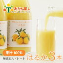 【ふるさと納税】 はるか ジュース 1000ml 3本 無添加 果汁 100% 柑橘 果物 国産 フルーツ 有名 愛媛 みかん職人武田屋 蜜柑 ブランド オレンジ 愛媛県産 果実 ビタミン 美味しい 生産者 直送 産直