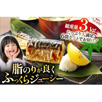 ふるさと納税 気仙沼市 訳あり 骨取り トロ さば 切身 計3kg (500g×6p) [足利本店 20565813] |  | 01