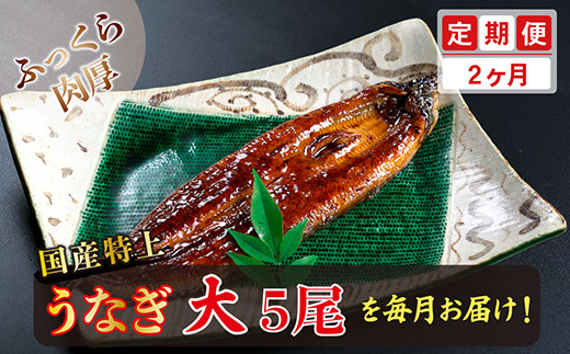 
【定期便２回】国産！特上うなぎのかば焼き 約200g × 5尾 × 2回お届け （毎月お届け）
