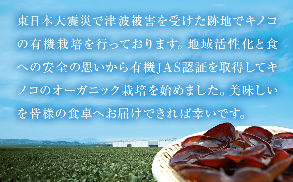 名取市産 きくらげ の トマンネーゼ きくらー油 90g×5袋セット