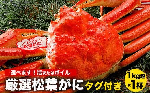 
            756.【選べます！活またはボイル】≪2025年12月～2026年1月発送≫ 特撰 松葉がに【ブランドタグ付き】1kg超の大きいサイズ 食べ応えあり 特大1杯【松葉ガニ 松葉蟹 松葉かに 蟹 かに 山陰 特大 大きい 活 ボイル タグ付き 鳥取県産 鳥取県 北栄町 おすすめ 人気 新鮮】
          