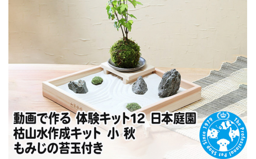 
動画で作る 体験キット12 日本庭園 枯山水作成キット 小 秋 もみじの苔玉付き
