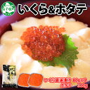 【ふるさと納税】2485. いくら醤油 80g×2個 帆立 300g いくら醤油漬け イクラしょうゆ漬け いくら イクラ 刺身 ほたて ホタテ 貝柱 貝類 海鮮 魚介 魚卵 送料無料 14000円 北海道 弟子屈町