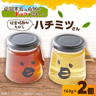 ふるさと納税 いすみ市 いすみ市の『ハチミツさん』160g×2個