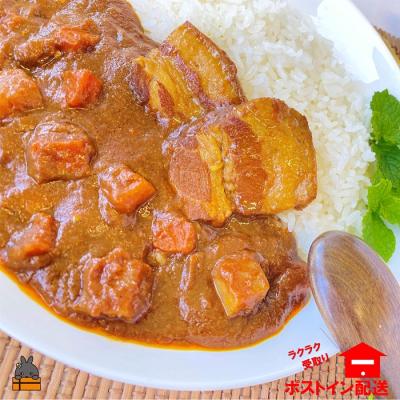ふるさと納税 徳之島町 〜島豚の角煮が“ごろっと”入った〜徳之島豚角煮カレー(中辛)(1箱)【ポストイン配送】 |  | 01
