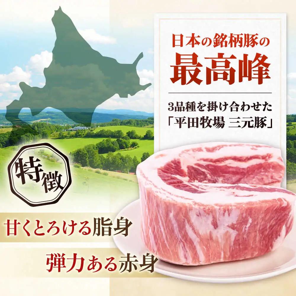  バラ ブロック 600g バラブロック AJAP072