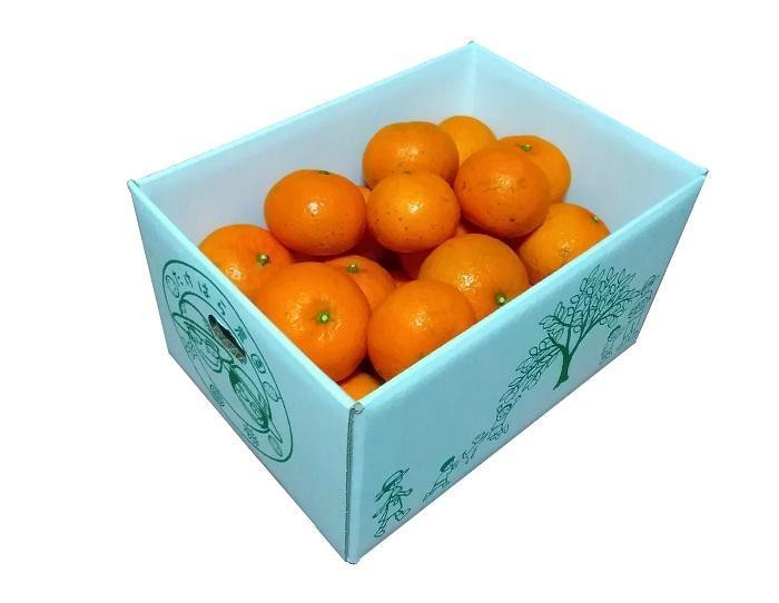 
            【2026年発送分 先行受付】たんかん ご家庭用バラ詰め3kg【たけはら農園】【たんかん, 南国フルーツ, 柑橘類, 果物類,  フルーツ, くだもの, 詰め合わせ,ご家庭用, 甘い, ジューシー, 季節限定, フレッシュ, 健康, ビタミンC, 旬の味覚, 産地直送, 鹿児島県, 奄美大島, 瀬戸内町, AD013】
          