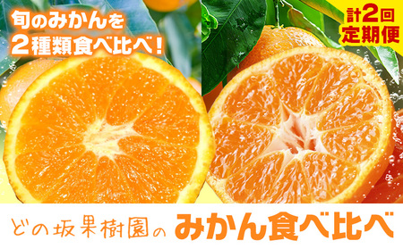 どの坂果樹園のみかん食べ比べ定期便 2回