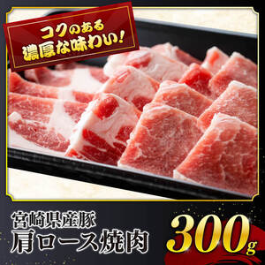 【令和6年10月発送】宮崎県産豚肉6種4.1kg 【 肉 豚肉 国産豚肉 豚 宮崎県産豚肉 豚肉ロース 豚肉バラ 豚肉 とんかつ 豚肉 焼肉用豚肉 豚肉 肩ロース豚肉 もも豚肉 こま切れ豚肉 】