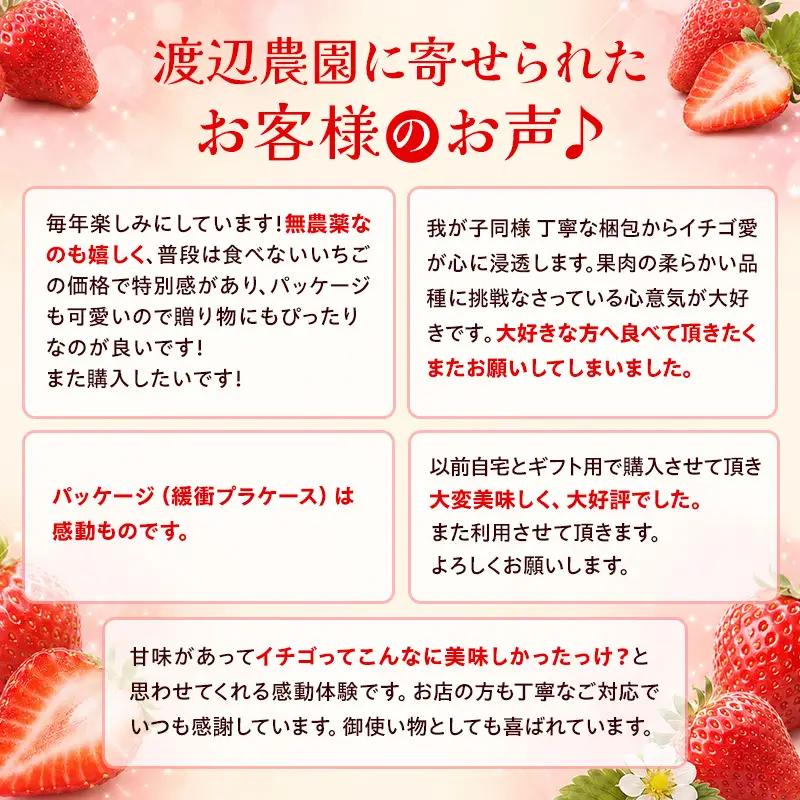 【先行予約｜2027年5月上旬より出荷開始】いちご 大粒 カラダよろこぶ 越後姫 約400g×1パック (9～15粒入り) 定植後化学農薬不使用 イチゴ 苺 渡辺農園 上越市 新潟県