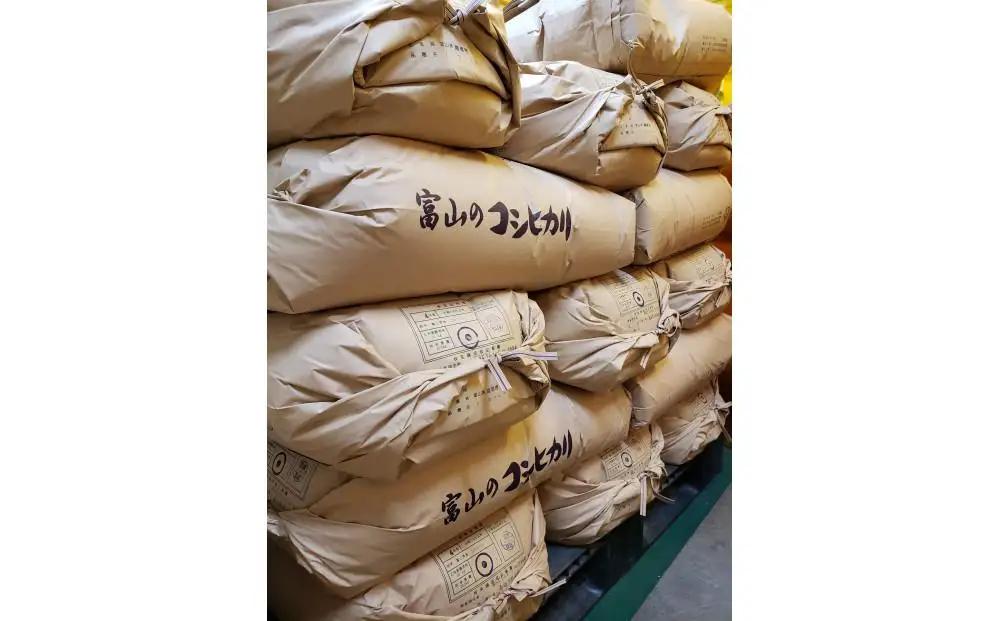 【令和8年産】みどりふぁーむのコシヒカリ 玄米 30kg