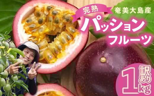 【2025年先行予約分】訳あり！完熟！南の島奄美のパッションフルーツ家庭用 1kg （傷物、色むらあり、サイズ混合）　A151-002-02