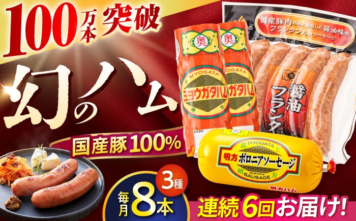 
                  【6回定期便】明方ハム詰め合わせ Bセット / 明方 ハム 厚切り ボロニアソーセージ ハムステーキ 朝食 フランクフルト ウインナー BBQ ソーセージ フランク 箱入り ギフト / 御嵩町 / めぐみの農業協同組合 [AVBA007]
                