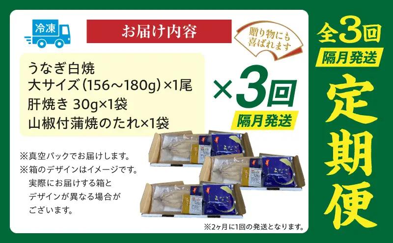 【3回定期便】うなぎ白焼(大サイズ)・肝焼きセット