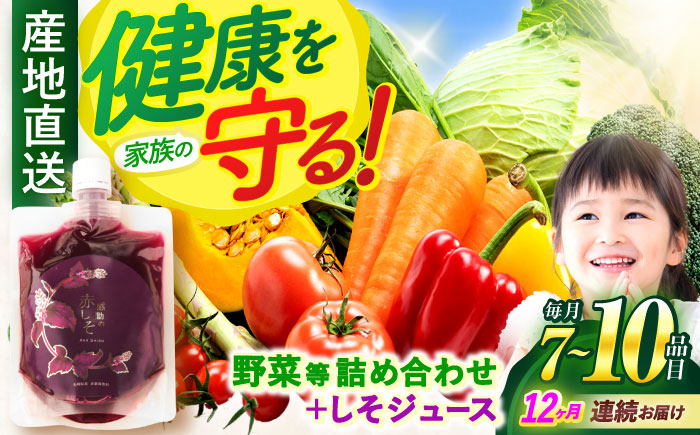 【12回定期便】野菜等詰め合わせセット(7～10品目) / 野菜 果物 フルーツ くだもの きのこ しそ / 諫早市 / 松尾農園 [AHAY016]