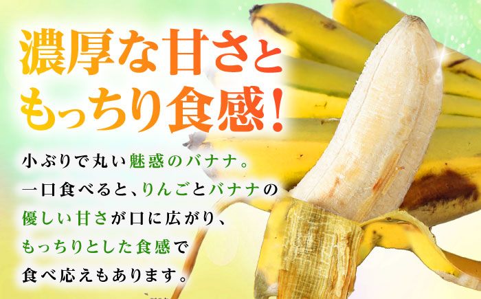 ムッチリ食感！沖縄県産アップルバナナ 2kg バナナ フルーツ 果物 無農薬 banana 沖縄市 / タカエス フルーツ＆ベジタブル [BCBH001]