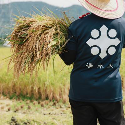 ふるさと納税 若狭町 【 令和7年産 】福井県若狭町 コシヒカリ 　10kg |  | 01