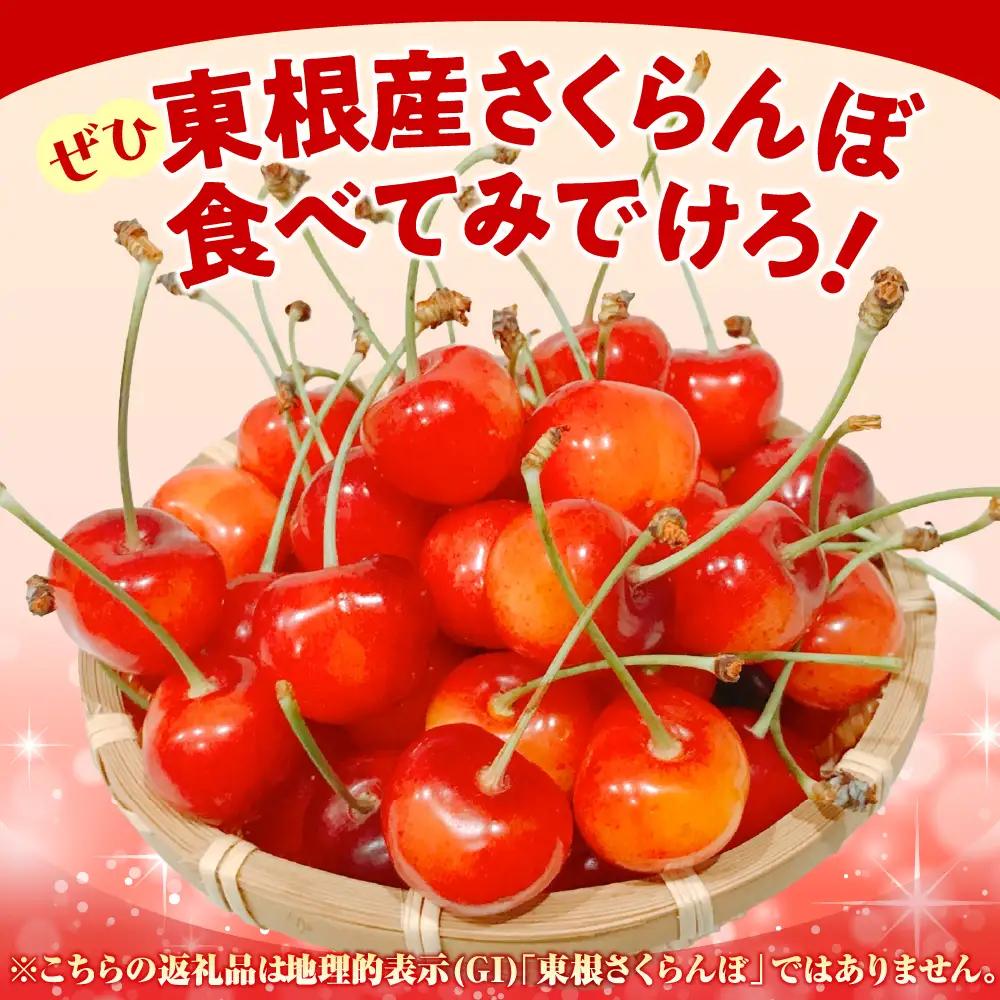 2027年産 4月配送 温室 さくらんぼ 佐藤錦 秀L 300g さくらんぼ