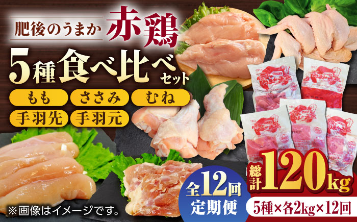 
            【12回定期便】肥後のうまか 赤鶏  5種食べ比べセット（モモ ささみ ムネ 手羽先 手羽元）各2kg【やまうちフード株式会社 熊本営業所】 熊本県 特産品  九州産  [ZAB014]
          