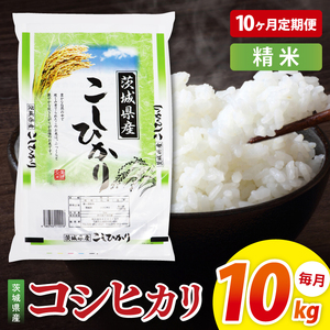 【10ヶ月定期便】茨城県産コシヒカリ　精米　10kg｜精米 定期便 お米 米 こめ コメ ごはん 白米 阿見町 茨城県 茨城県産 茨城県産米 安心 安全 送料無料 国産 人気 数量限定 高評価（85-157）