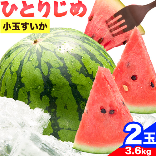 【先行予約】紀州和歌山産 小玉スイカ 「ひとりじめ」 2玉 魚鶴商店《2025年6月上旬-6月下旬頃出荷》 和歌山県 日高町 スイカ スイーツ フルーツ 果物 野菜 スイカ すいか 夏 旬