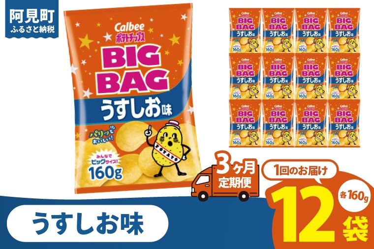 
            【3ヶ月定期便】カルビー ポテトチップス うすしお味 BIGBAG（160g）×12個｜Calbee お菓子 菓子 おやつ おかし ぽてち ポテチ スナック おつまみ ジャガイモ じゃがいも（93-56）
          