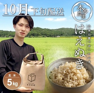 SA2677　10月下旬配送／令和7年産【玄米】はえぬき　5kg 農家直送 HO