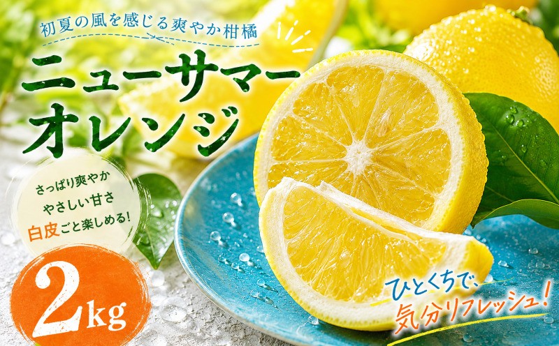 
                  【選ぶならこれ】 初夏の爽快感 【ニューサマーオレンジ】 2kg 愛媛県産 【2027年4月中旬頃から順次発送】 | みかん ミカン mikan 蜜柑 訳ありフルーツ 柑橘 果物 おすすめ お勧め お取り寄せ ギフト 愛媛県 松山市
                